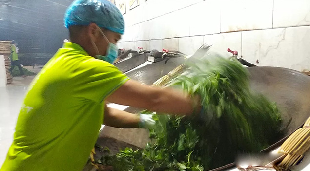 電氣化制茶成主流，蒸汽發(fā)生器讓制茶無(wú)煙化，實(shí)現(xiàn)零排放的環(huán)保目標(biāo)
